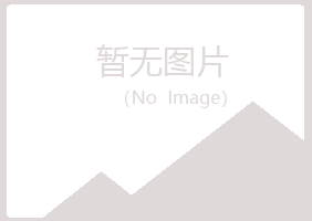 和田晓绿会计有限公司